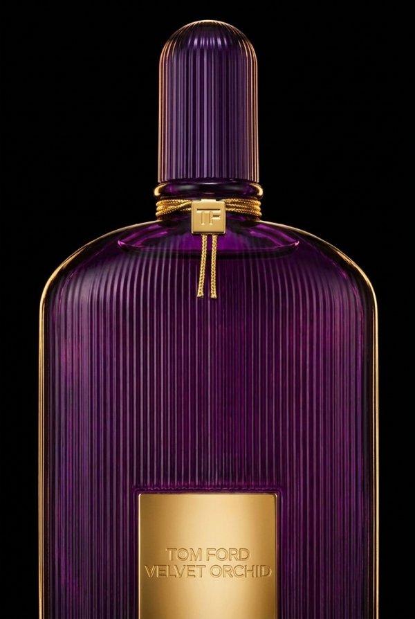 Velvet Orchid